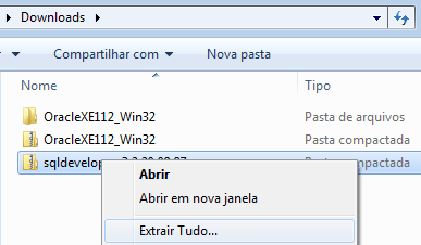 extração do SQL
Developer